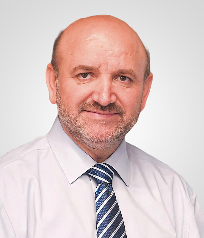 Prof. Dr. Mehmet Bulut